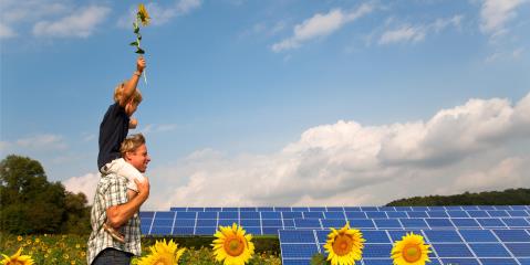 Family sunflowers and solar panels